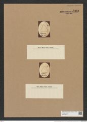 Triceratium punctatum Brightw. (de-Toni-Nr.: Genus 140, Species 3834) Zeichnungen Sammlung Grunow Nr. 7333 (NHMW-BOT-W0376376)